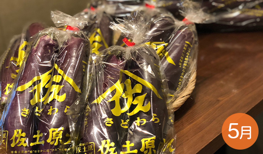 なすび