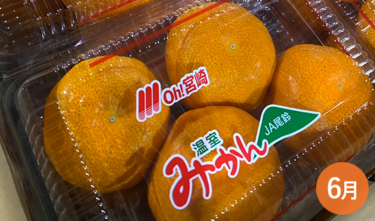 温室みかん