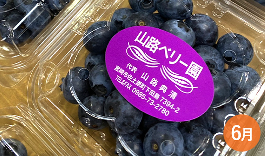 ブルーベリー
