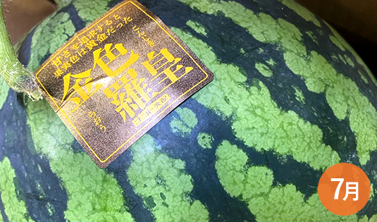 すいか(金色羅皇)
