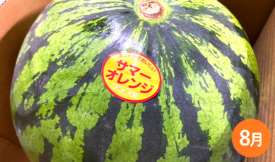 osusumeseika_8-19