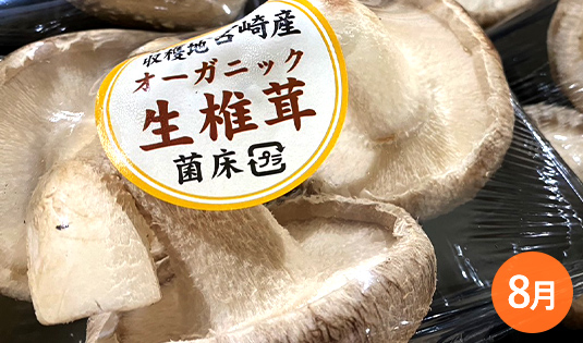 生椎茸
