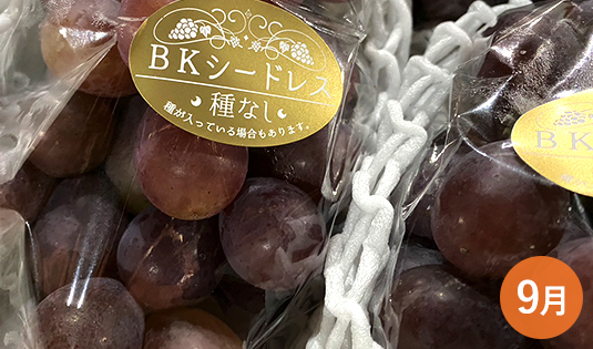 BKシードレス
