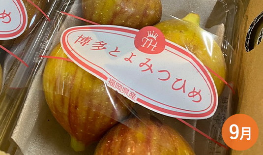 博多とよみつひめ