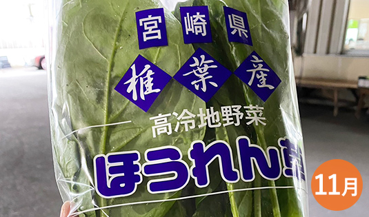 椎葉産ほうれん草