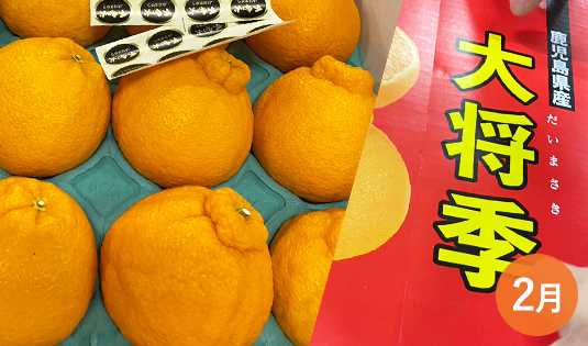 デコポン大将季