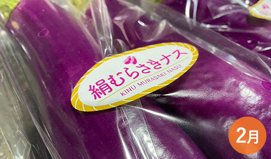 絹むらさきナス