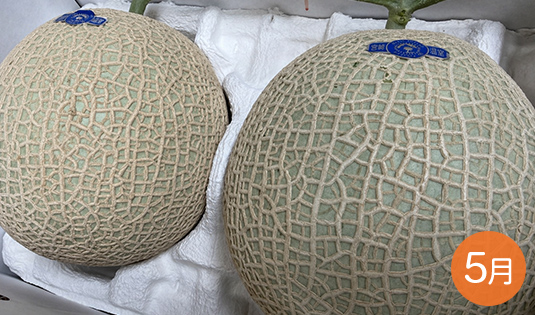 アールスメロン