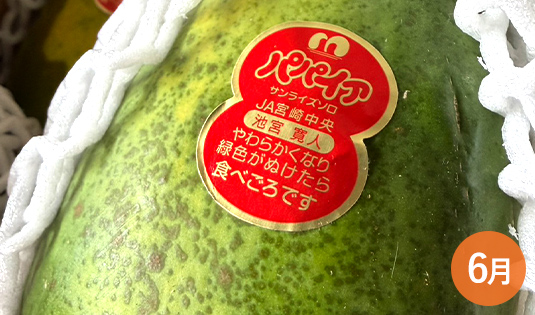 パパイア