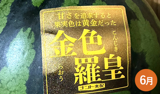 金色羅皇
