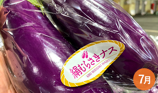 絹むらさきナース